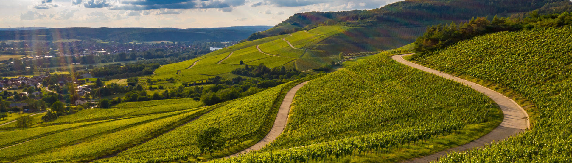 Davison Fine Wines